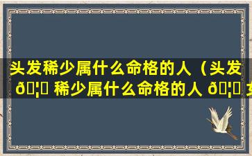 头发稀少属什么命格的人（头发 🦋 稀少属什么命格的人 🦉 女）